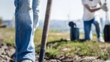 Person in jeans digs soil with a shovel, another person in background planting saplings.