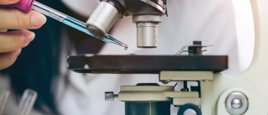 Scientist uses pipette under microscope for research